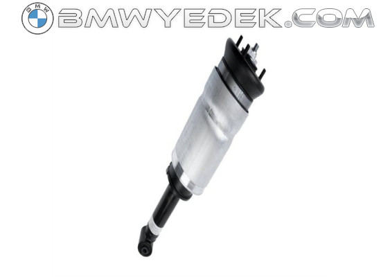 Land Rover Shock Absorber Front-Articulated Right-Left Sport Rnb501600 