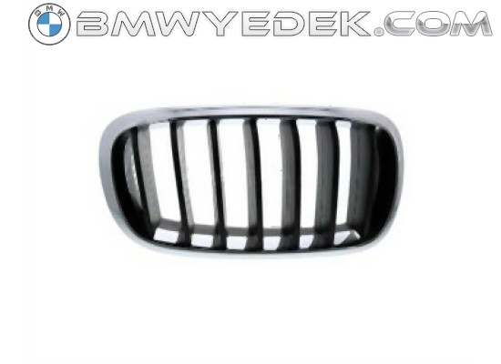 BMW F15 Front Grille Left 51137294485 