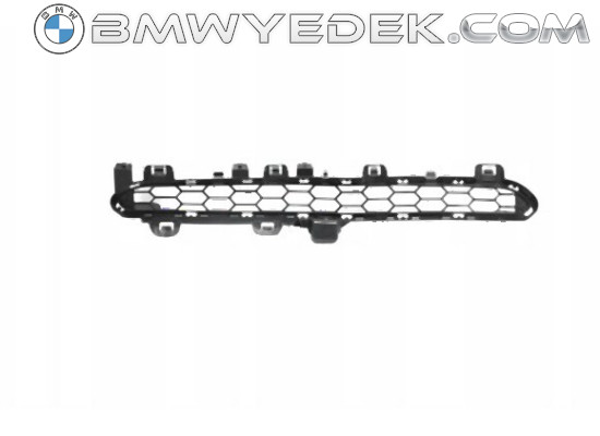 BMW F15 Front M Technical Bumper Upper Grille 51118054013 