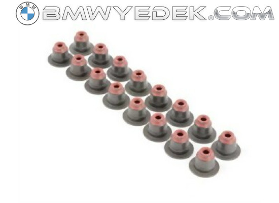 BMW N40 N42 N45 N45N N46 N46N Valve Tire Set 11340029751 ELRING