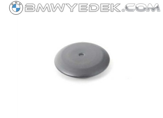 BMW F20 F21 F22 F23 F25 F26 F30 F31 F32 F33 F34 F36 F80 Windshield Grille Plug 7147255351