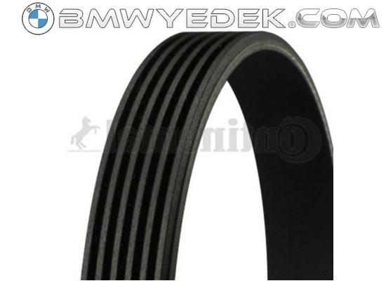 BMW E46 M43 Fan Belt 6pk1705 11287636371 CONTITECH