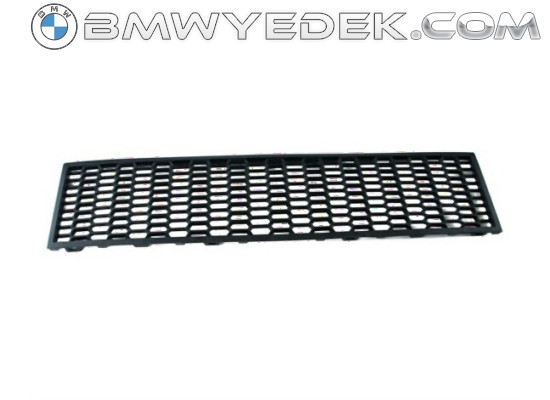 BMW F10 F11 Front M Bumper Middle Grille 51117903894