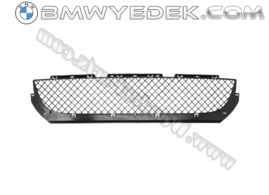 BMW E46 Sedan M Technical Решетка радиатора переднего бампера средняя - 51117893331 WENDER