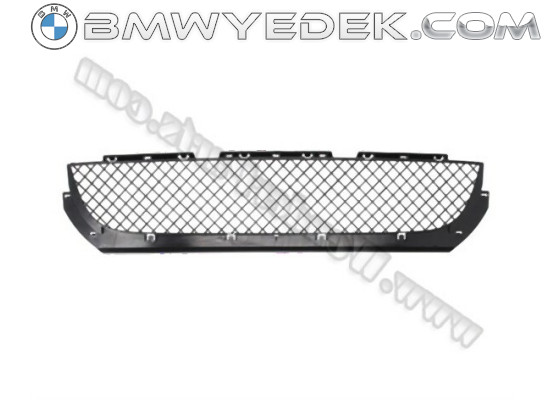 BMW E46 Sedan M Technical Front Bumper Middle Grille 51117893331