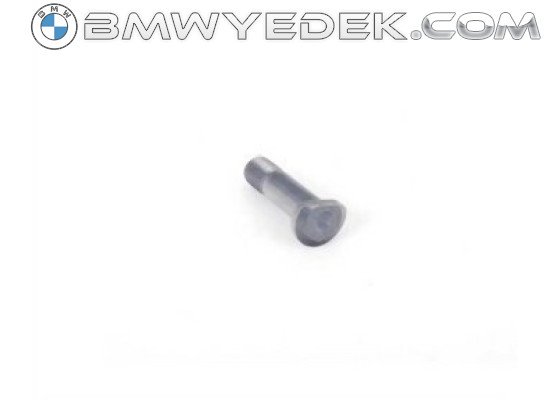 BMW E30 E32 E34 M10 M20 Subap İticisi Vidası - 11331744355 BMW Orjinal