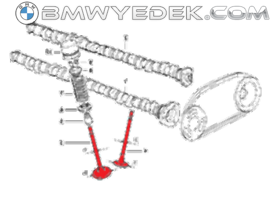 BMW M50 M52 M54 After 09 1992 Intake and Exhaust Valve Kit 11347502351 SAYGI