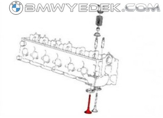 BMW E30 E34 M21 Emme Subap Takımı - 11342242621 INTERVALVES