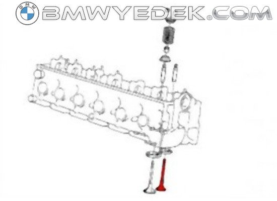 BMW E30 E34 M21 Egzoz Subap Takımı - 11342242622 INTERVALVES