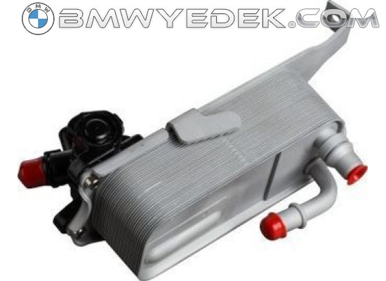 Bmw F30 Chassis 320i ed Импортный масляный радиатор автоматической коробки передач (17217600553, импортный)
