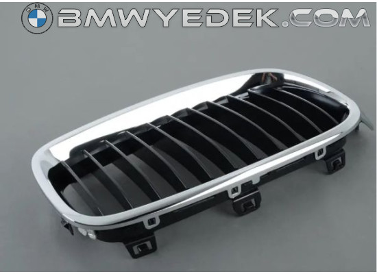 Bmw F30 Right Grille Basis Type Oem 51137255412 