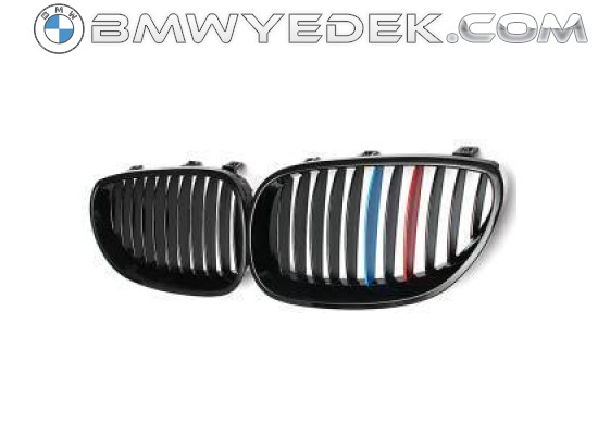 Передняя решетка шасси Bmw 5 Series E60 (почки) M-Color Imported (B A0603106 / 51137065701)