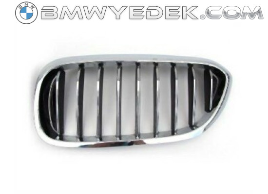 BMW G30 G31 Grille Basis Right 51137383520 