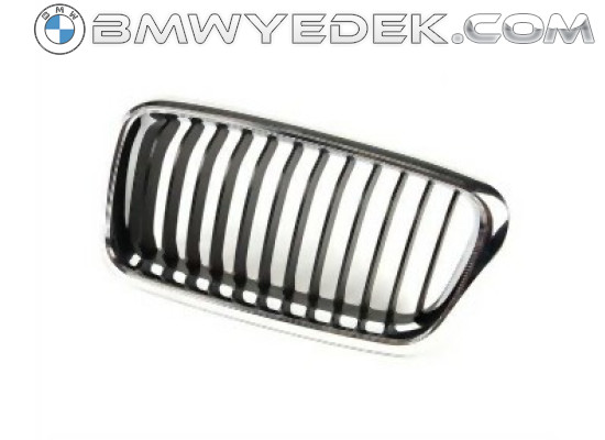 BMW E38 After 09 1998 Grille Right 51138231594 DIEDERICHS