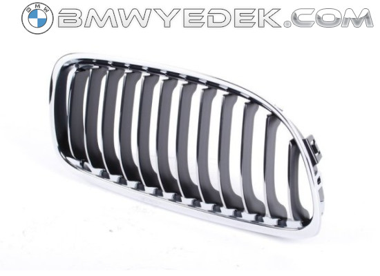 Bmw 3 Series E90 Chassis 2009 Model Front Grille Right Kidney 