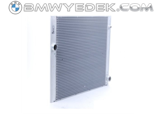 Автоматический водяной радиатор Bmw E60 E61 E63 E64 E65 E66 17117519209 8mk376719131, (Bhr-17117519209)