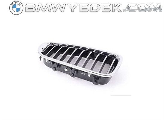 Решетка радиатора Bmw Chrom Sol F10 2011-2018 51137203649 (Emp-51137203649)