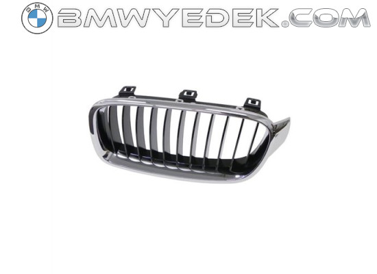 Решетка радиатора Bmw R Basis Right F30 2015 51137255412 (Emp-51137255412)