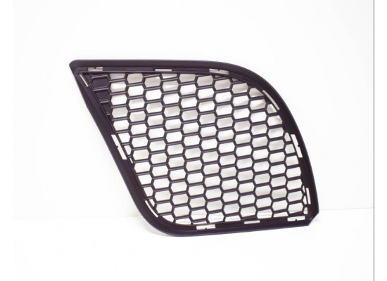 Bmw Grille Bumper Center Left 51112159347 Bmw Grille Bumper Center Left 51112159347