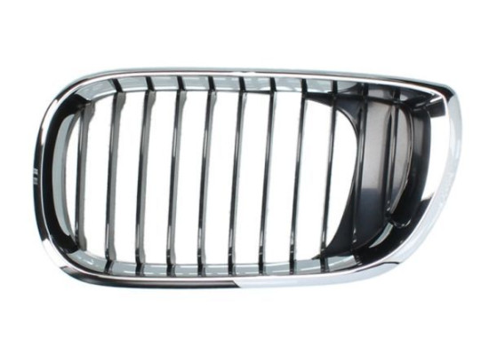 BMW E46 Sedan Touring After 09 2001 Grille Left 51137030545