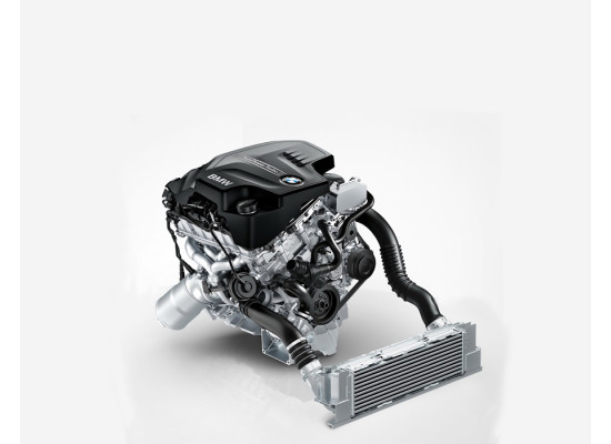 BMW Motor Komple N20b20a F20,F21,F22,F23,F30,F31,F32,F34,F36 N20 11002420309