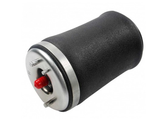 Пневмоподвеска Bmw левая 37121095579 Пневмоподвеска Bmw левая 37121095579