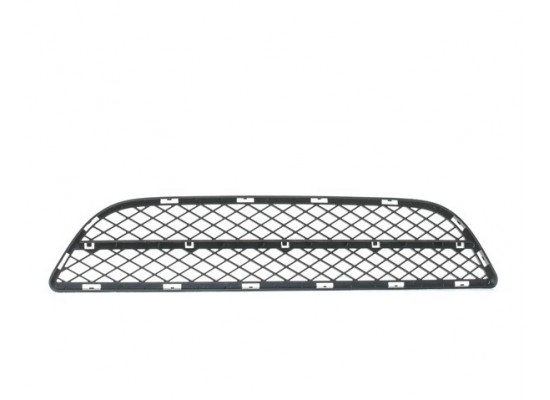 Bmw Grille Center Open 51117154556 Bmw Grille Center Open 51117154556