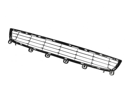 Bmw Grille Middle Lower 51117294475 Bmw Grille Middle Lower 51117294475