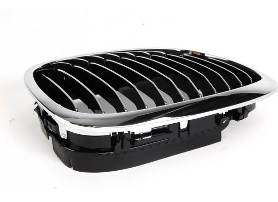 Bmw Grille Right 51137064318 Bmw Grille Right 51137064318