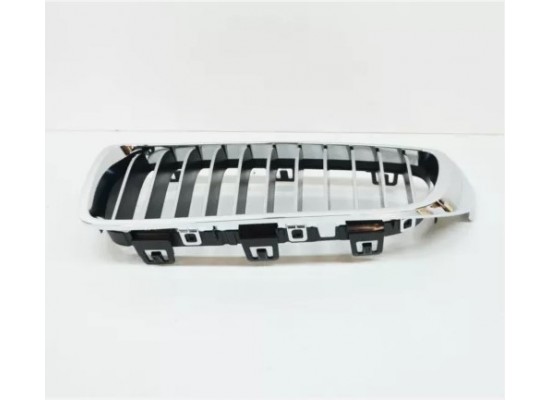 Bmw Grille Front Left 51137294815 Bmw Grille Front Left 51137294815