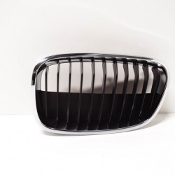 Bmw Grille Front Left 51137324389 Bmw Grille Front Left 51137324389