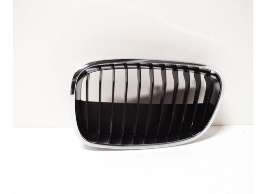 Bmw Grille Front Left 51137324389 Bmw Grille Front Left 51137324389