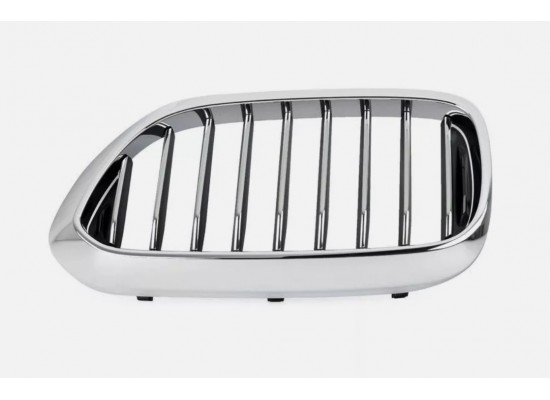 Bmw Grille Front Left 51137383519 Bmw Grille Front Left 51137383519