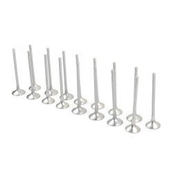 Комплект впускных и выпускных клапанов BMW, 8 впускных, 8 выпускных клапанов (11127797711 - 11348511622)-(1530p-1531p) E60,E61,E70,E71,E81,E82,E83,E84,E87,E88,E90,E91,E92,E93, Ф01, Ф02, Ф06, Ф07, Ф10 (спр-11127797711) Комплект впускных и выпускных клапанов BMW, 8 впускных, 8 выпускных клапанов (11127797711 - 11348511622)-(1530p-1531p) E60,E61,E70,E71,E81,E82,E83,E84,E87,E88,E90,E91,E92,E93, Ф01, Ф02, Ф06, Ф07, Ф10 (спр-11127797711)