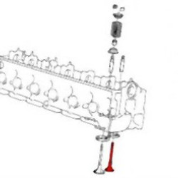 BMW E30 E34 M21 Egzoz Subap Takımı - 11342242622 INTERVALVES