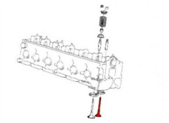 BMW E30 E34 M21 Egzoz Subap Takımı - 11342242622 INTERVALVES