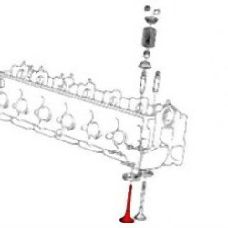 BMW E30 E34 M21 Emme Subap Takımı - 11342242621 INTERVALVES