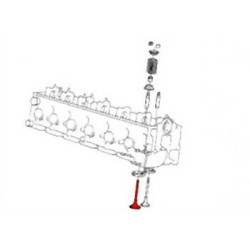 BMW E30 E34 M21 Emme Subap Takımı - 11342242621 INTERVALVES