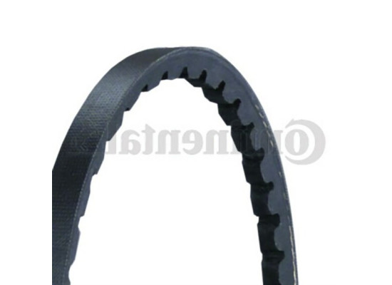 BMW E30 E34 M40 M42 Direksiyon Pompa Kayışı 10x800 - 32421717953 CONTITECH