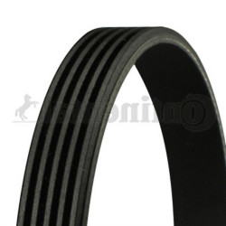 BMW E46 E85 E86 Z3 M3 Klima Kayışı 5PK830 - 11287830946 CONTITECH BMW E46 E85 E86 Z3 M3 Klima Kayışı 5PK830 - 11287830946 CONTITECH