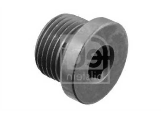 BMW Crankcase Plug 7119905428