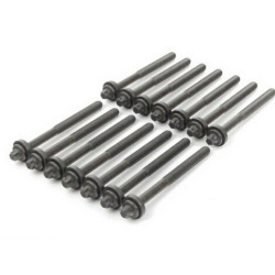 BMW M51 M57 M57N After 01/1996 Комплект шпилек ГБЦ - 11129067790 VICTOR REINZ BMW M51 M57 M57N After 01/1996 Комплект шпилек ГБЦ - 11129067790 VICTOR REINZ