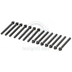 BMW M52 M54 Комплект шпилек ГБЦ - 11121740065 ELRING