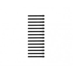 BMW M52 M54 Комплект шпилек ГБЦ - 11121740065 VICTOR REINZ