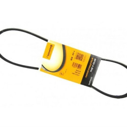 BMW M57N M57N2 N74 Klima Kayışı - 64557793608 CONTITECH BMW M57N M57N2 N74 Klima Kayışı - 64557793608 CONTITECH