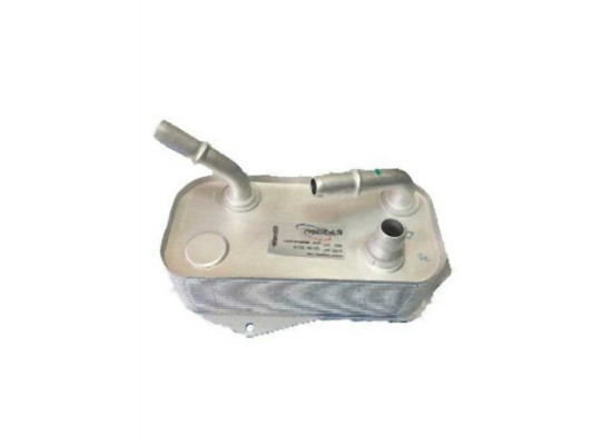 BMW M57N2 N43 N45N N46 N46N N47 Transmission Oil Radiator 17217529499 RADISEN BMW M57N2 N43 N45N N46 N46N N47 Transmission Oil Radiator 17217529499 RADISEN