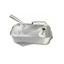 BMW M57N2 N43 N45N N46 N46N N47 Радиатор трансмиссионного масла - 17217529499 MAGNETI MARELLI BMW M57N2 N43 N45N N46 N46N N47 Радиатор трансмиссионного масла - 17217529499 MAGNETI MARELLI