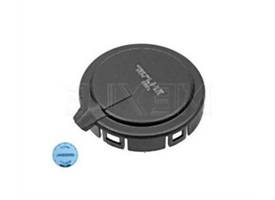 BMW M62 N62 Yağ Basınç Ayar Valfi - 11127547058 MEYLE BMW M62 N62 Yağ Basınç Ayar Valfi - 11127547058 MEYLE