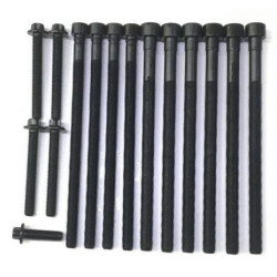 BMW N20 N26 Комплект шпилек ГБЦ - 11122212157 VICTOR REINZ BMW N20 N26 Комплект шпилек ГБЦ - 11122212157 VICTOR REINZ