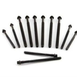 BMW N40 N42 N45 N46 Комплект шпилек ГБЦ - 11127511534 ELRING BMW N40 N42 N45 N46 Комплект шпилек ГБЦ - 11127511534 ELRING